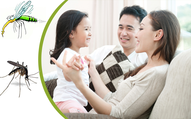 Cách phòng tránh muỗi hiệu quả trong ngày hè