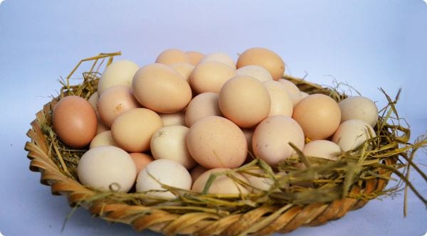 Thức ăn để trong tủ lạnh có gây hại gì cho trẻ em
