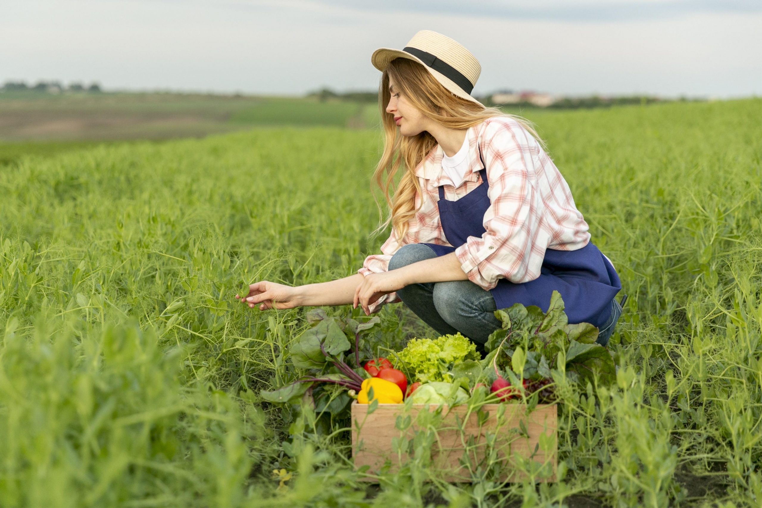 Cuộc sống gần gũi với thiên nhiên là mơ ước của nhiều người - Nguồn: 