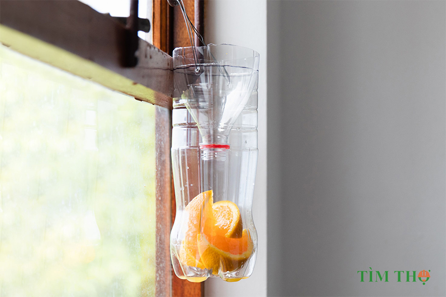 Cách làm bẫy ruồi từ chai coca rỗng bắt ruồi hiệu quả