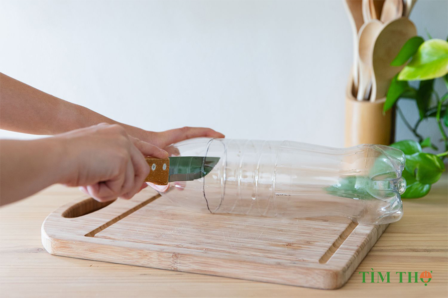 Cách làm bẫy ruồi từ chai coca rỗng bắt ruồi hiệu quả